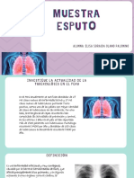 Prueba de Esputo