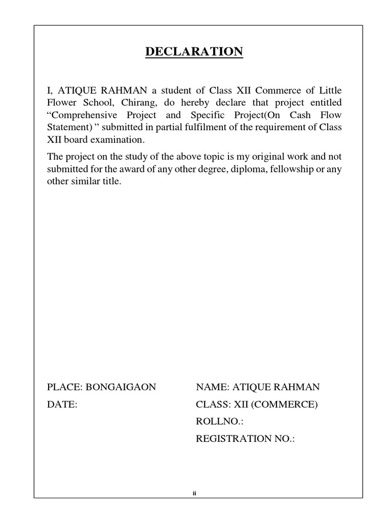 Cash Flow Statement Project Declaration | PDF