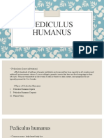 Pediculus Humanus Reporting