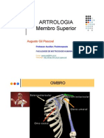 Aula Sistema Muscular