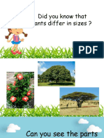Science 3 - Parts of Tree