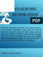 Anaerobic Respiration and Fermentation