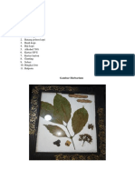 20-1032 Vara Valsela Tugas Herbarium
