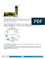 9.19 Life Cycle of Nonvascular Plants