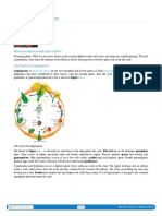 9.22 Angiosperm Life Cycle