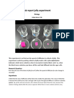 Lab Report Jelly Experiment Biology Felipe Berea