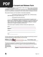 Interview Consent Form Template | PDF | Consent
