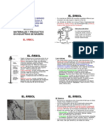 El ciclo de vida del árbol: estructura, funciones y procesos fundamentales