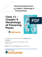Maharashtra Board Solutions Class 11 Biology Chapter 9 Morphology of Flowering Plants