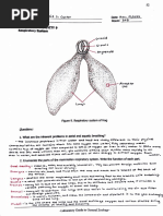 Zoology Laboratory - Activity 10: Respiratory System