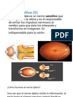 Nervios Oculares