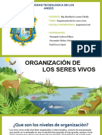 Organizacion de Los Seres Vivos Diapositiva