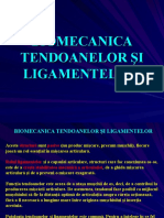 Curs 11 Biomecanica Tendoanelor Si Ligamentelor