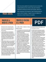 Violacion Principios Generales de La Prueba Judicial