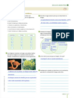 Ficha de Trabajo de Reino Fungi