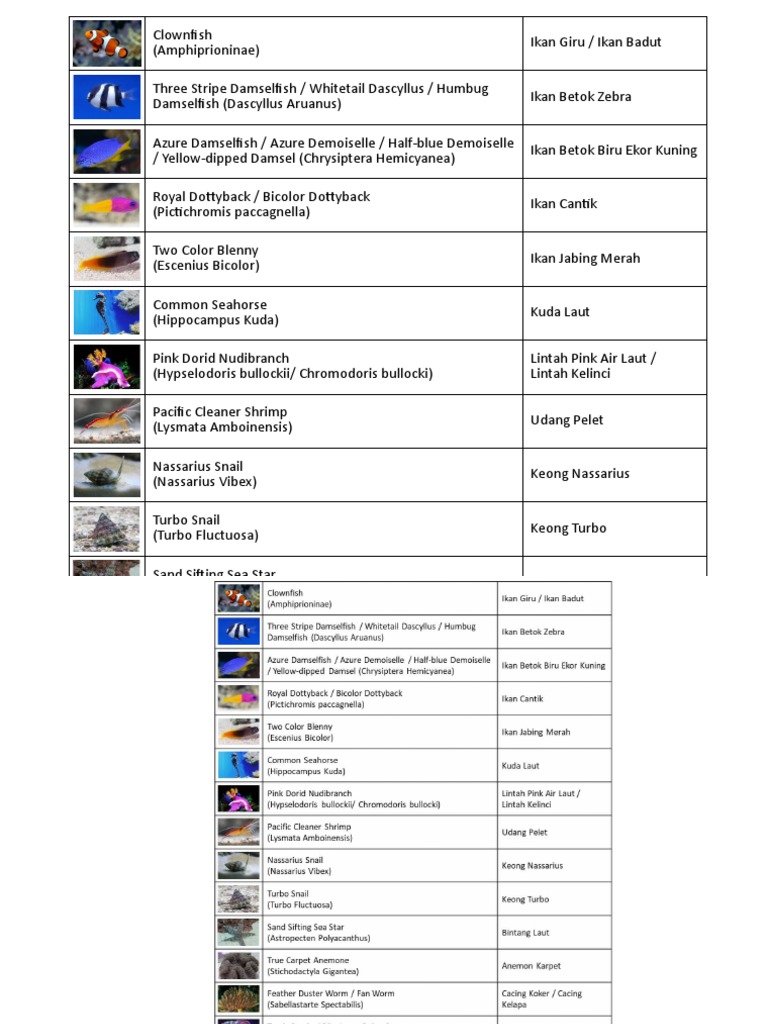 Nama Nama Ikan | PDF | Fishkeeping | Fish