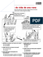 Ciclo de Vida de Una Rana