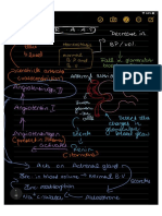 Excretory System Drawings