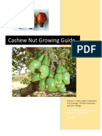 Cashew Nut Propagation and Growing Guide 2 Sept 2019 DRAFT Ed LW
