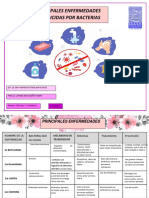Enfermedades Producidas Por Bacterias