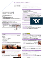 TE2 - Patologia de Les Parpelles