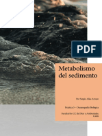 Metabolismo Del Sedimento Costero: Introducción A La Ecología Del Sedimento