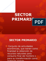 Sector Primario