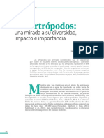 Los Artrópodos Una Mirada A Su Diversidad