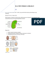 seed germination types