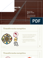 Clase 2 - Sistemas Energéticos en El Ejercicio