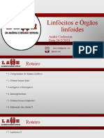 Linfócitos e Órgãos Linfoides