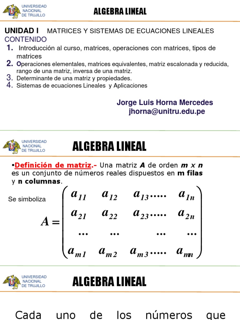 Módulo 1 ALGEBRA LINEAL PDF Matriz (Matemáticas) Álgebra lineal