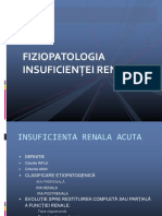 Curs - Fiziopatologia Insuficientei Renale 2022-2023