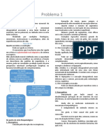 P1 UC13 - Resumo