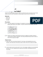 MGLS CE ConnectActivity Lab HowLargeareCells