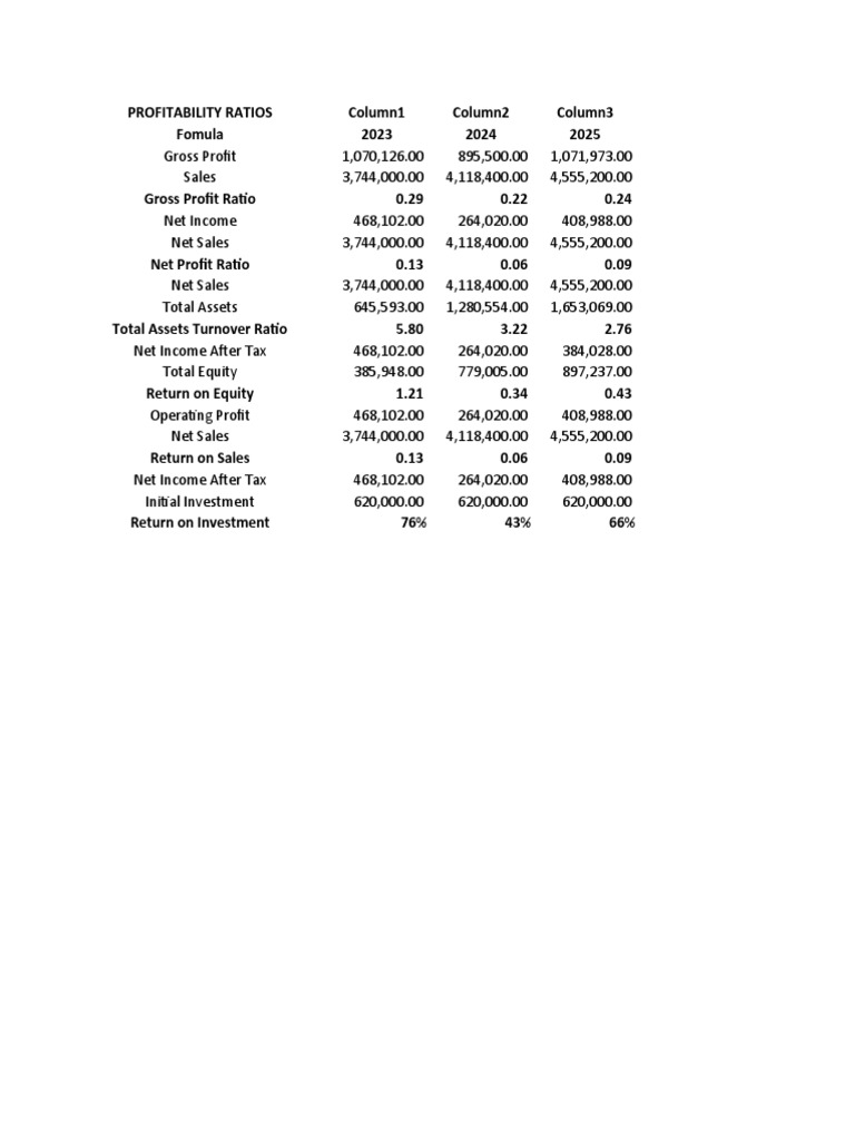 Profitability Ratios Analysis 2023-2025 | PDF | Computers