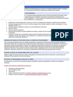 Licencia de Matrimonio PDF