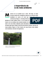 Conceitos e Importância Da Conservação Do Meio Ambiente