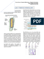 Transcripción Organelos y Trafico Vesicular