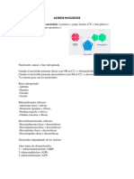 Acidos Nucleicos