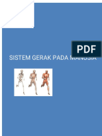 SISTEM GERAK MANUSIA