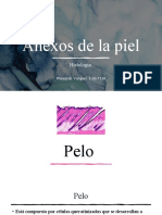 Anexos de La Piel