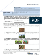 Ficha1ro Cultivos Ciclo Corto S6 P2 Q1
