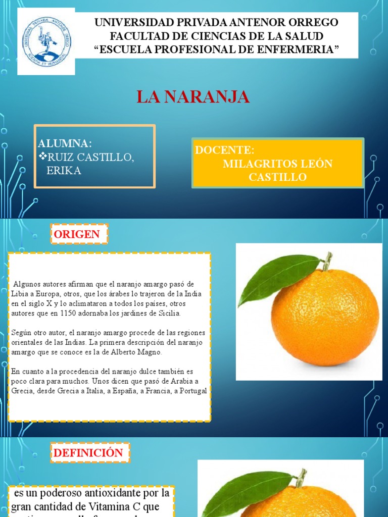 Naranja Pdf Naranja Comida Y Bebida