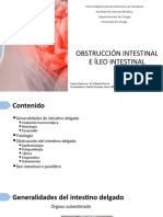 Obstrucción Intestinal e Íleo Intestinal
