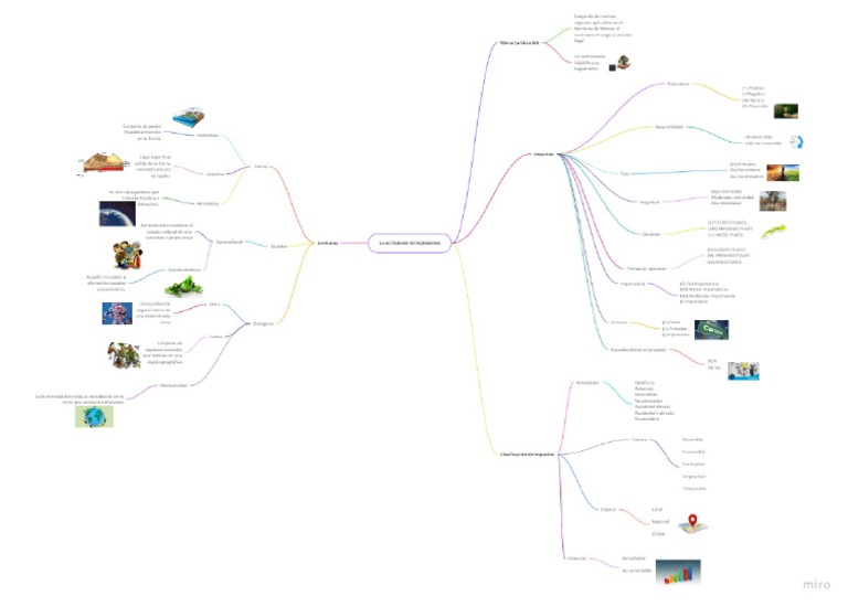 mind-map-pdf