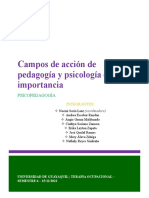 Importancia de los campos de acción de la pedagogía y psicología