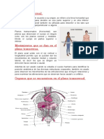 Plano Transversal