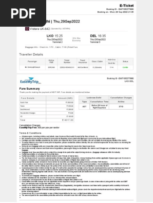 plane ticket