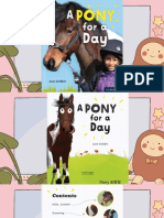 A Pony For A Day